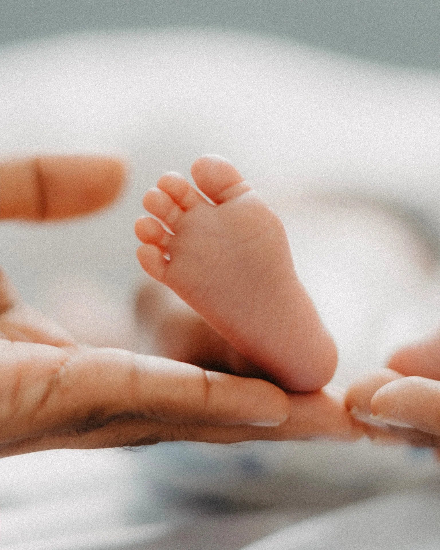 Newborn photography in the Maldives by moment.mv — photo 3