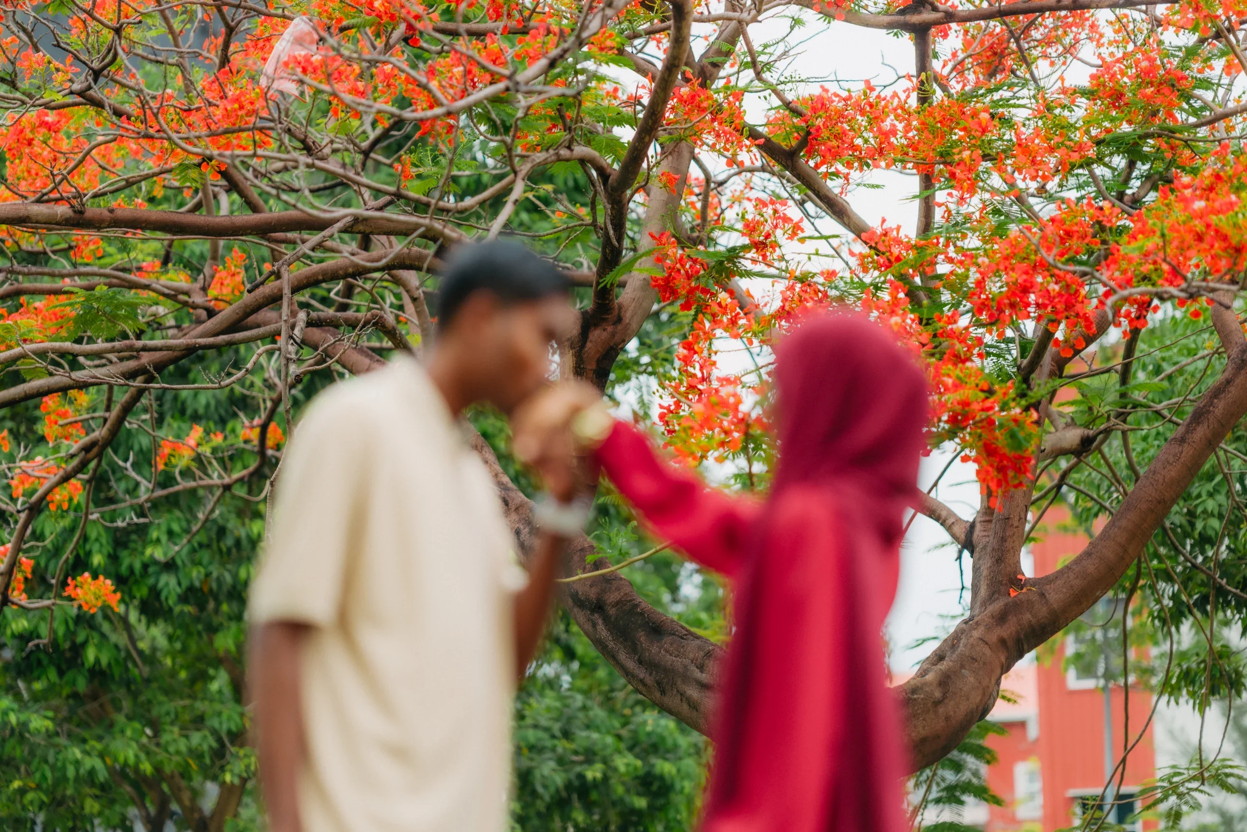 Couple photography in the Maldives by moment.mv — photo 8