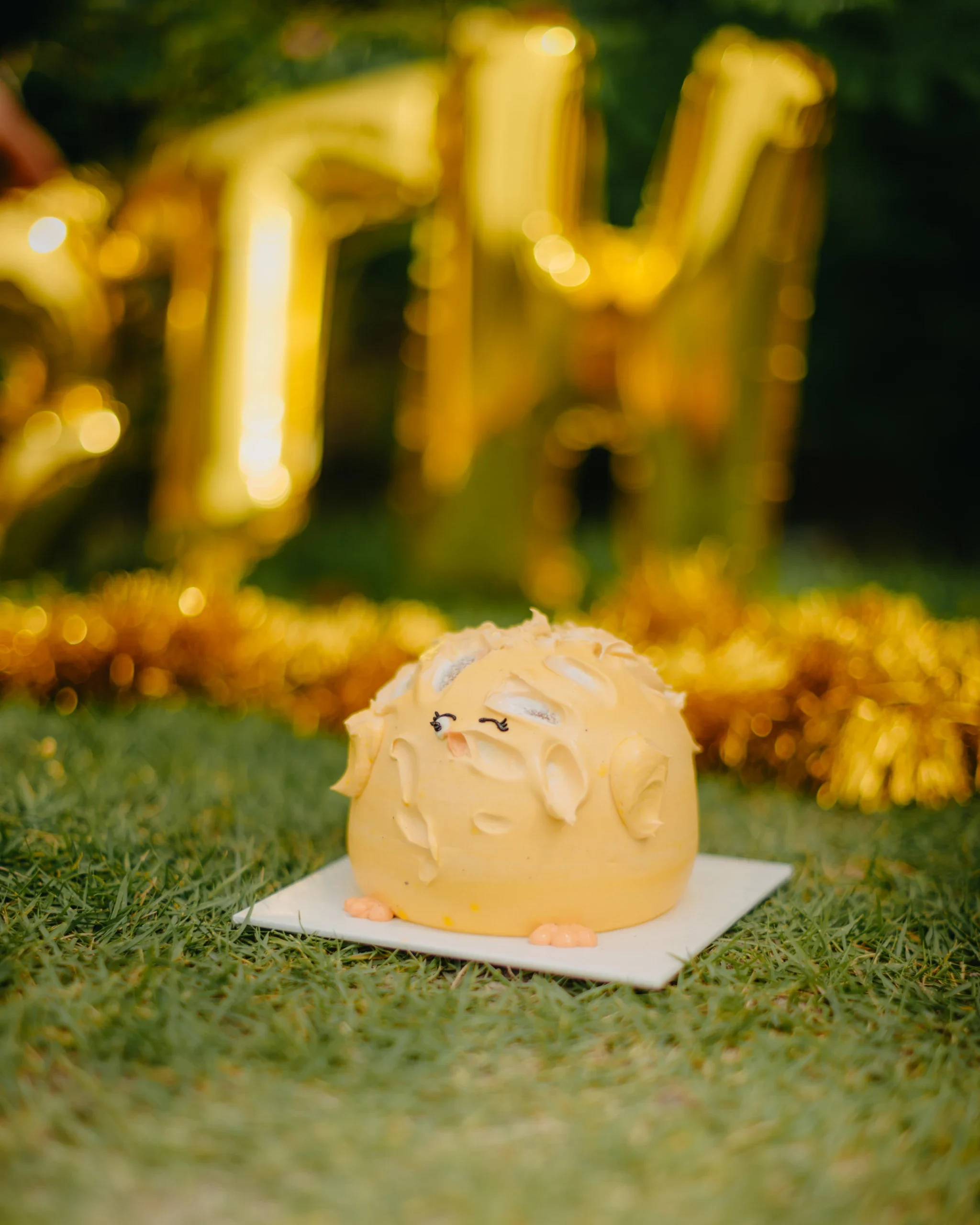 Birthday photography in the Maldives by moment.mv — photo 17